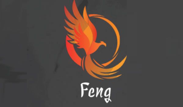 Feng porcellane